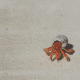 Single red hermit crab in white shell on sandy beach